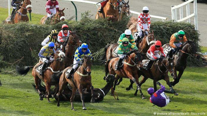 Horse Racing Horse Racing Racing Games Horses A Life With Horses and Horse Isle 3 and Rival Stars Horse Racing. Horse Racing Horse Racing Racing Games Horses Sanjibnanda Published on 29 Jul 2015.