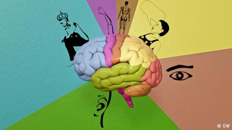 The Brain: The Body's Command Center