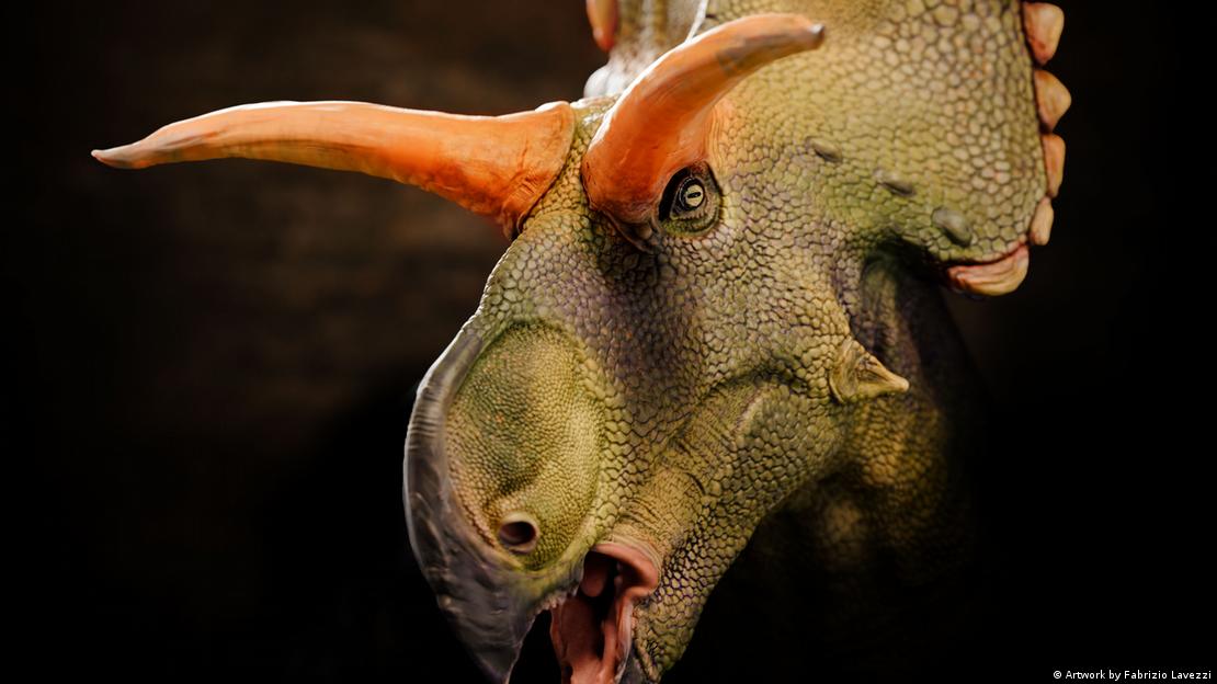 Reconstrucción de retrato de "Lokiceratops rangiformis".