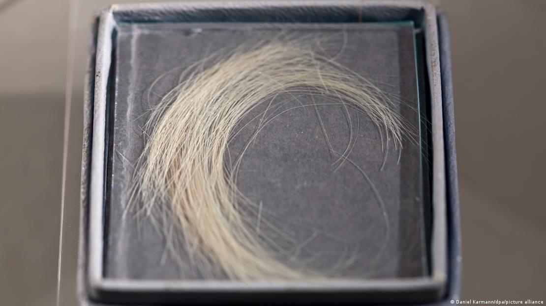 Los análisis del cabello de Kaspar Hauser (foto) permitieron confirmar la autenticidad de las muestras y refutar su conexión con la realeza de Baden.