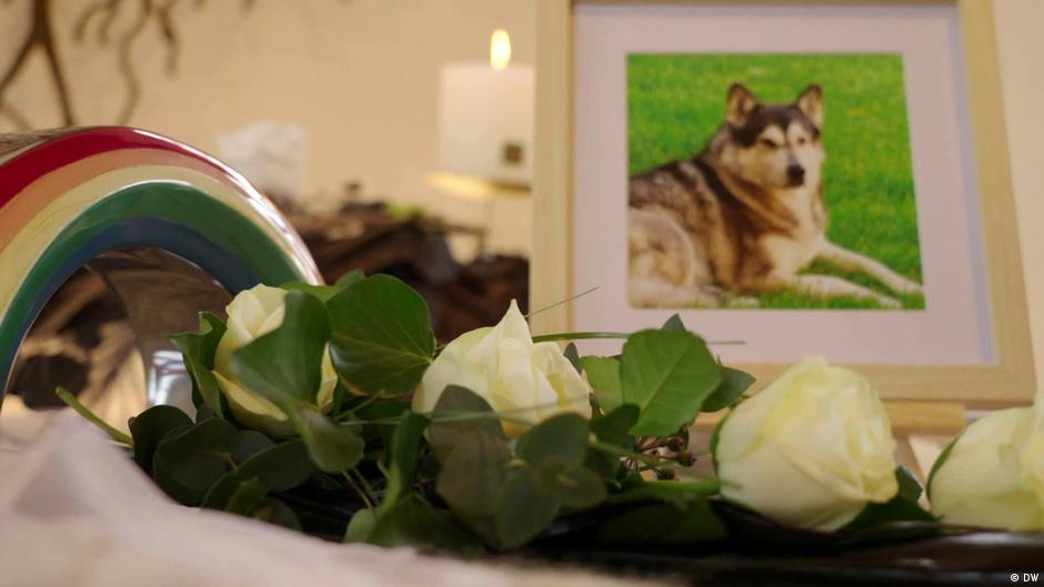 Mourning A Pet 70652415 6 