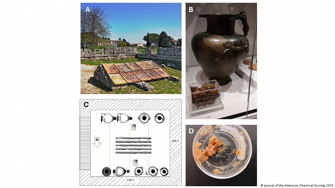 (A) Santuario subterráneo en Paestum. (B) Una de las vasijas expuestas junto a una caja de plástico que contiene los residuos en el Museo Ashmolean en 2019. (C) Representación gráfica de la disposición de las vasijas de bronce dentro del santuario, basada en Sestieri 1956. (D) Muestra de los residuos. (A) Santuario subterráneo en Paestum. (B) Una de las vasijas expuestas junto a una caja de plástico que contiene los residuos en el Museo Ashmolean en 2019. (C) Representación gráfica de la disposición de las vasijas de bronce dentro del santuario, basada en Sestieri 1956. (D) Muestra de los residuos.
