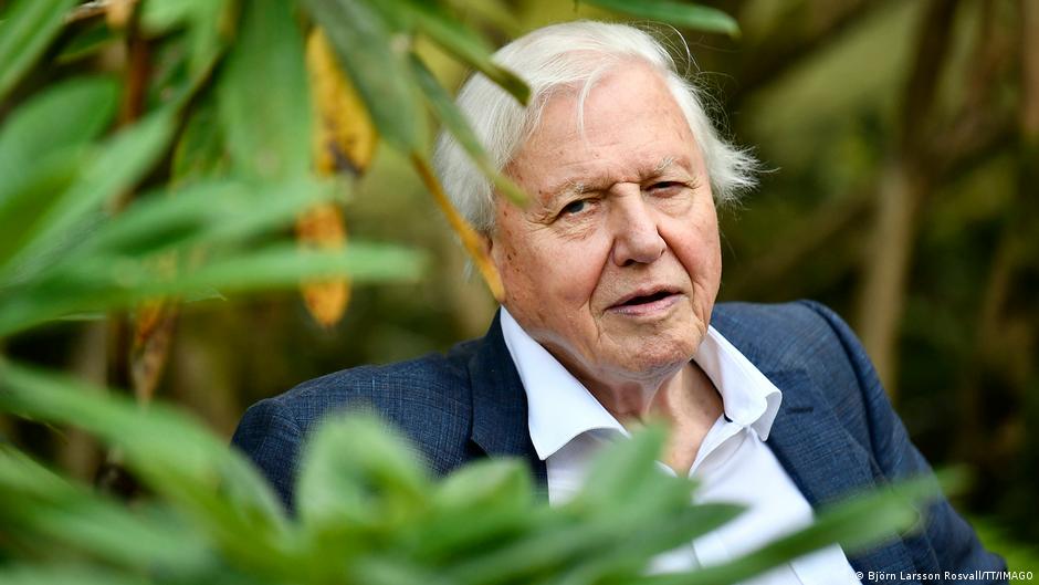 David Attenborough: A Century of Naturalist Storytelling (2026)