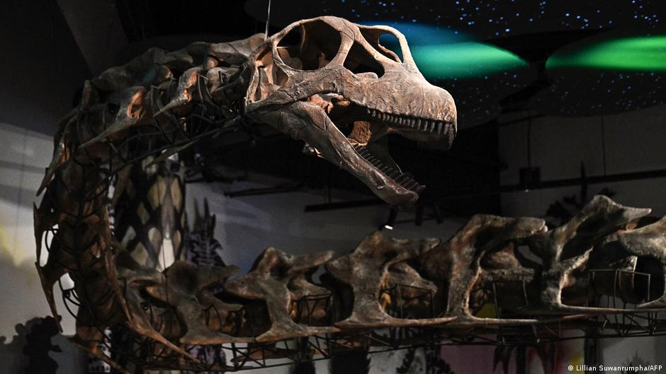 Thailand's 'Jurassic Park': Uncovering Dinosaur Fossils to Boost Tourism (2026)