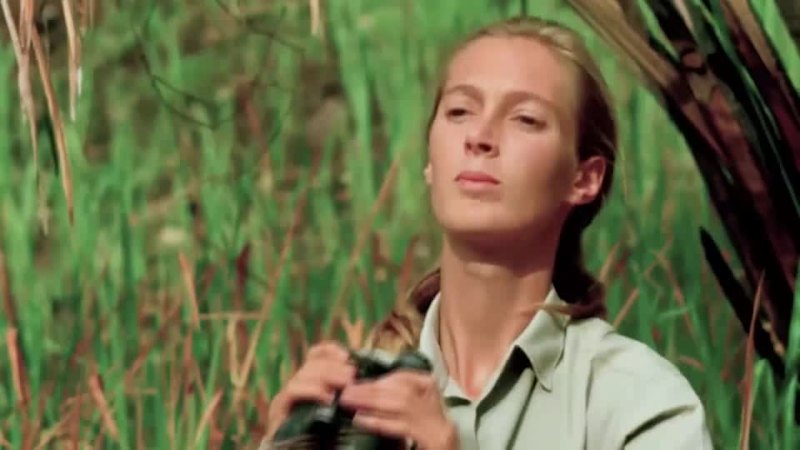 Wildlife advocate, primate expert Jane Goodall dies at 91