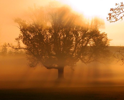 Foggy Morning in Bridgewater 2