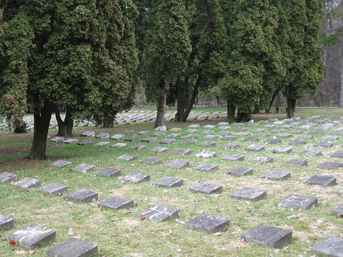 Cmentarz żołnierzy włoskich (III)