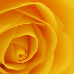 I've got sunshine.....