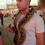 Jay and the Anaconda