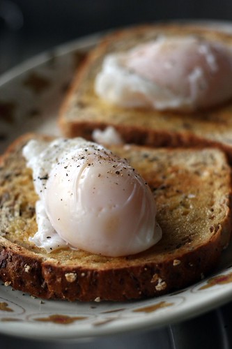 poached duck eggs