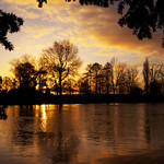 Golden December Night