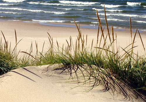 Quiet Motion by oldbrushes