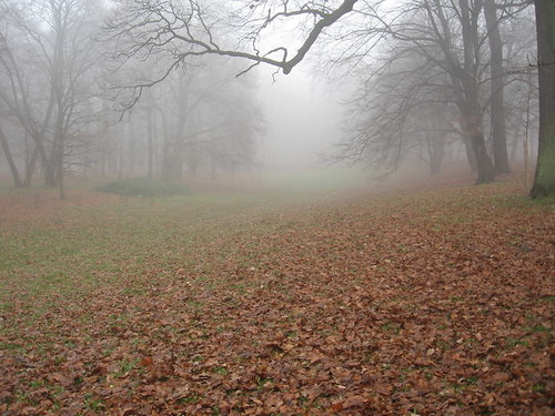 Mgła w Parku Szczytnickim (I)