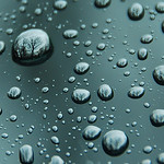 Rain Dropped