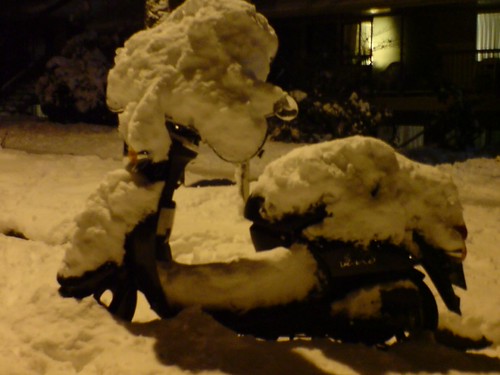 Normally a Warm City