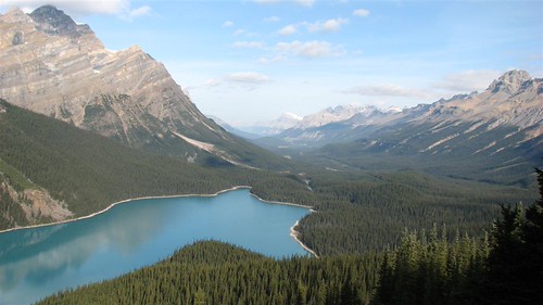 Peyto Lake and the Icefields Parkway leading north