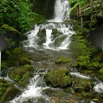 Fundy National Park Dickson Falls