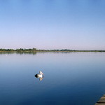 Lake Bonney Jetty 2