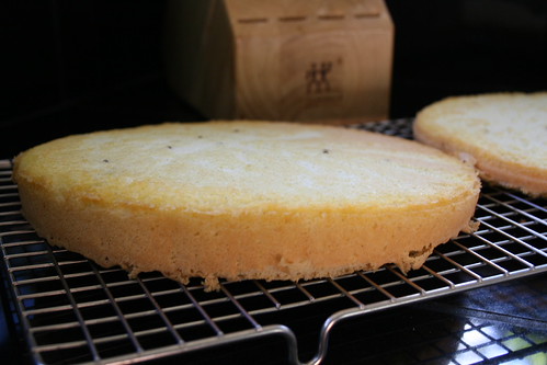 Persian Love Cake | Muffin Top