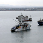 Fishing Fleet2