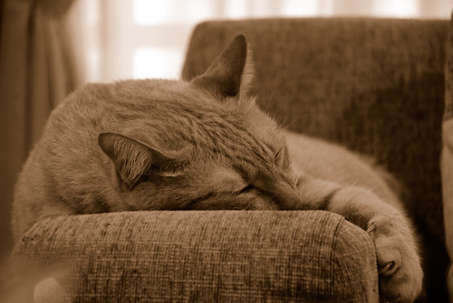 Deep in slumberland