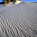Rippled Sand
