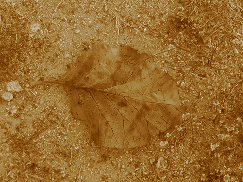 Dead, but still on earth...