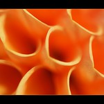 Day 293/365 - Abstract 105