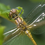 house_20070605_D_18605