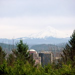 Hood over Portland