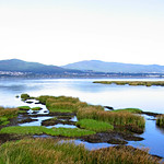 "E, dia e noite, aurora a aurora, / Por essa doida terra fora, /Cheia de Cor, de Luz, de Som,"