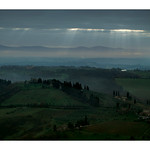 Tuscan Sunlight