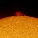 Prominence on today's Sun
