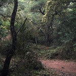 Follow the Red Dirt Road...