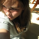 let the light shine in