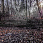 Forgotten Forest Opera