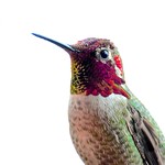 Raindrops Keep Falling on My Head