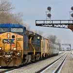 Sand N' Searchlights