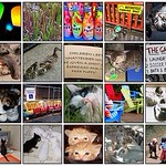 My favorites of 2006 (1/2)