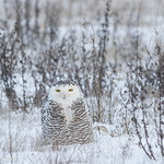 It's about time we got some snow around here