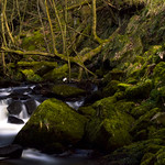 Padley Gorge