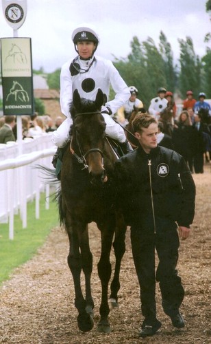 New Seeker, Newbury May 2006