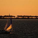 Sunset Sailing