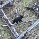 Some photos compose themselves