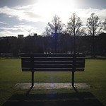bench in the sun