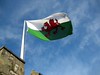 Welsh Flag