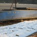 Hase unter dem Boot im Hafen