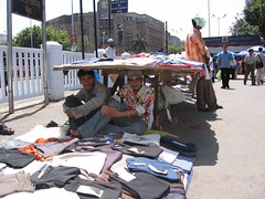 seeking cover (by kapsi)