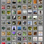 my top pictures as of 4/1/07 #1081 - #1152