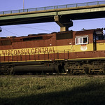 A Long Summer Evening 3